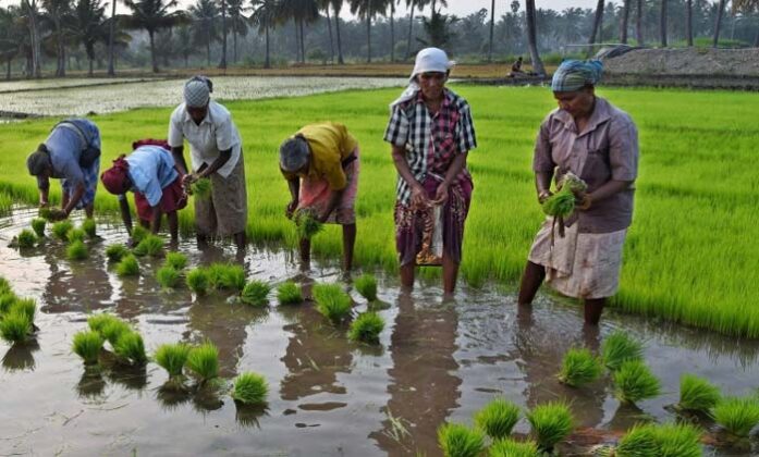 What Is The Problems Of Farm Labourers